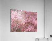 V45 Acrylic Print