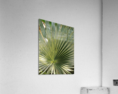 V47 Acrylic Print