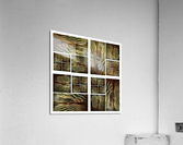 V48 Acrylic Print