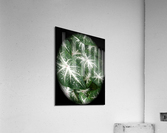 V49 Acrylic Print