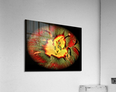 V50 Acrylic Print