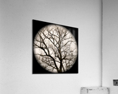 V51 Acrylic Print