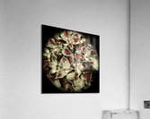 V52 Acrylic Print