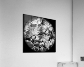 V53 Acrylic Print