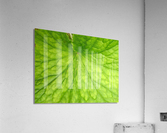 V54 Acrylic Print
