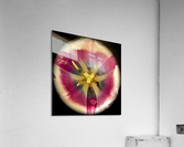 V56 Acrylic Print
