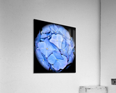 V58 Acrylic Print