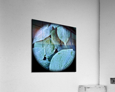 V59 Acrylic Print