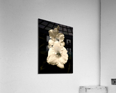 V64 Acrylic Print