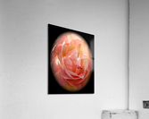 V65 Acrylic Print