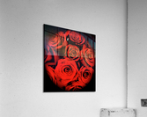 V66 Acrylic Print