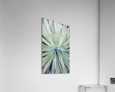 V68 Acrylic Print