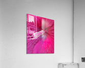 V69 Acrylic Print