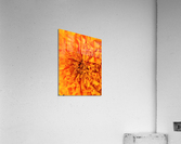 V71 Acrylic Print