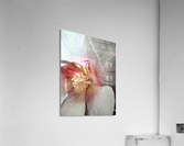 V72 Acrylic Print