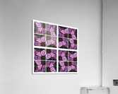 V73 Acrylic Print