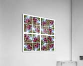 V74 Acrylic Print