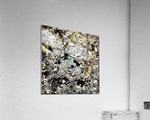 V79 Acrylic Print