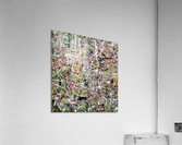 V82 Acrylic Print