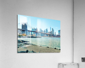 V86 Acrylic Print