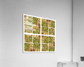 V87 Acrylic Print