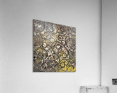 V89 Acrylic Print