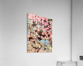 V94 Acrylic Print