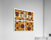 V95 Acrylic Print
