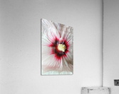 V96 Acrylic Print