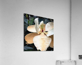 V99 Acrylic Print