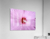 V120 Acrylic Print