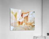 V129 Acrylic Print