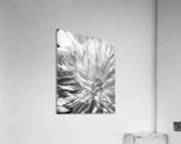 V133 Acrylic Print