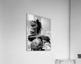 V141 Acrylic Print