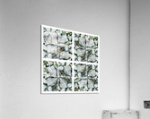 V142 Acrylic Print