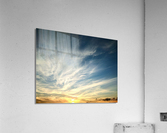 V145 Acrylic Print
