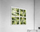 V147 Acrylic Print