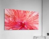 V149 Acrylic Print