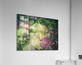 V152 Acrylic Print