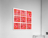 V155 Acrylic Print