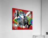 V166 Acrylic Print
