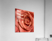 V172 Acrylic Print