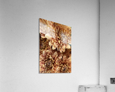V174 Acrylic Print