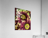 V175 Acrylic Print