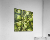 V176 Acrylic Print