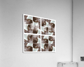 V179 Acrylic Print