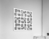 V181 Acrylic Print