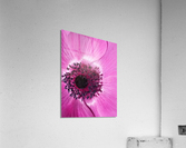 V183 Acrylic Print