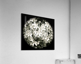 V188 Acrylic Print