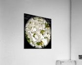 V190 Acrylic Print